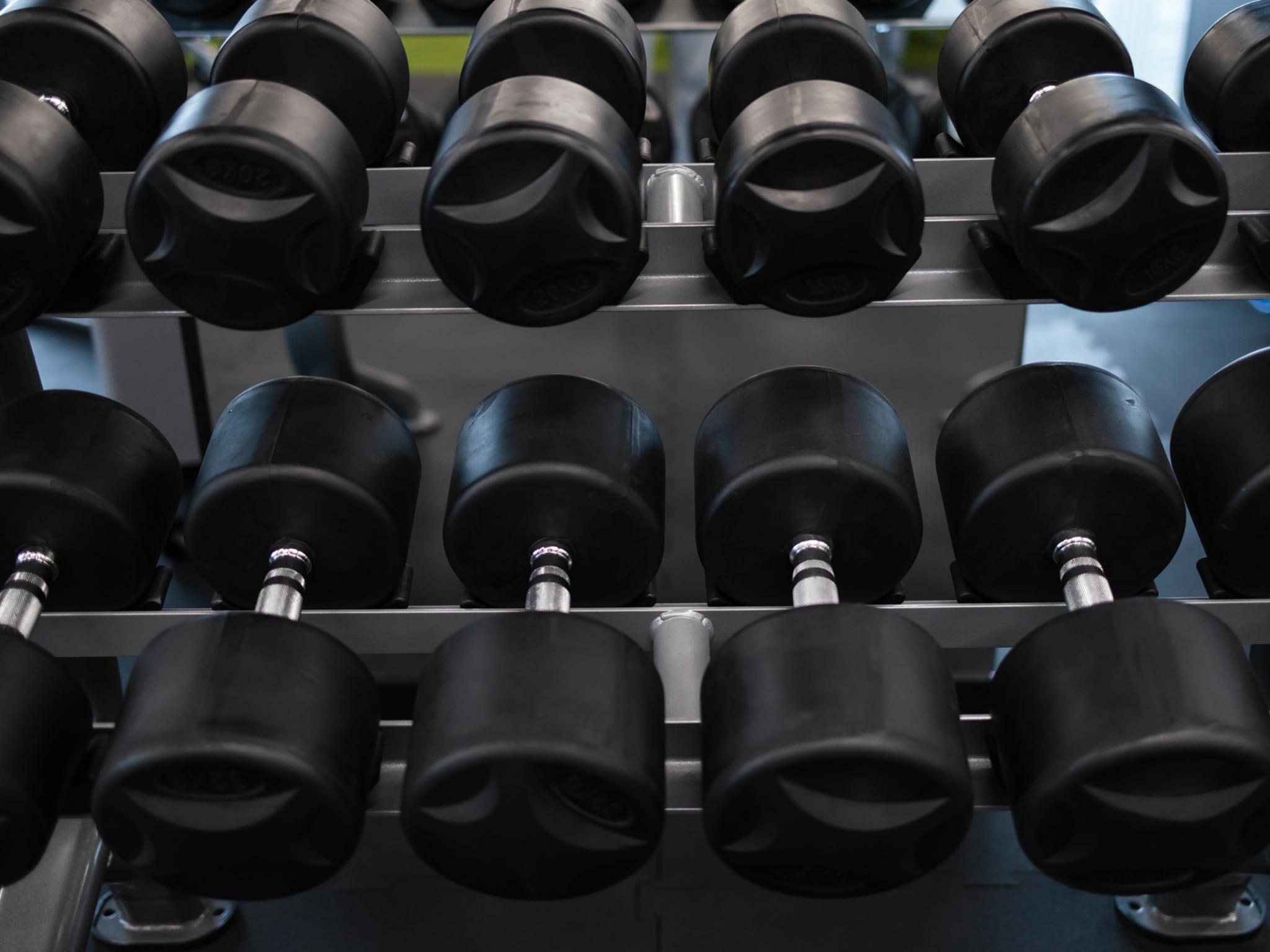 Light Weights vs Heavy Weights for Muscle Growth: Which is Better? (Science Based)